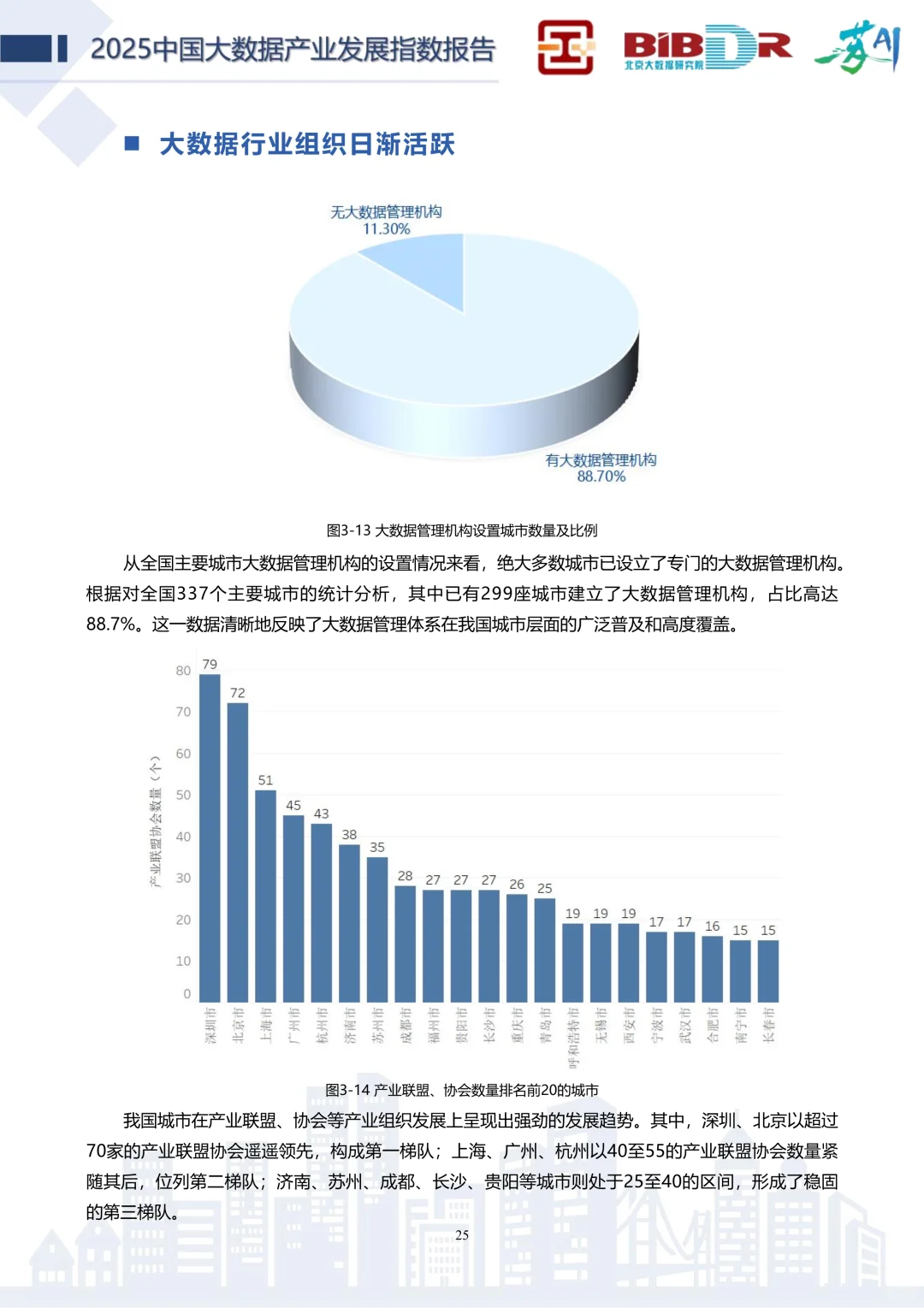 🧱✨解读2025中国大数据产业发展指数报告