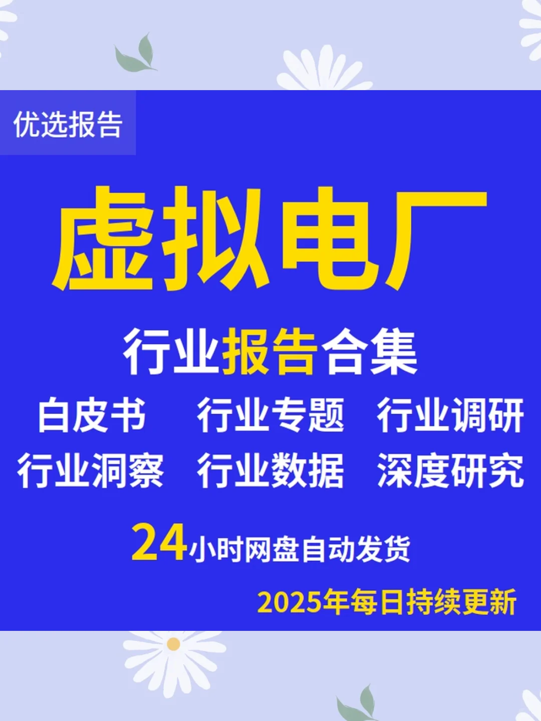 2025虚拟电厂研究报告市场发展预测白皮书