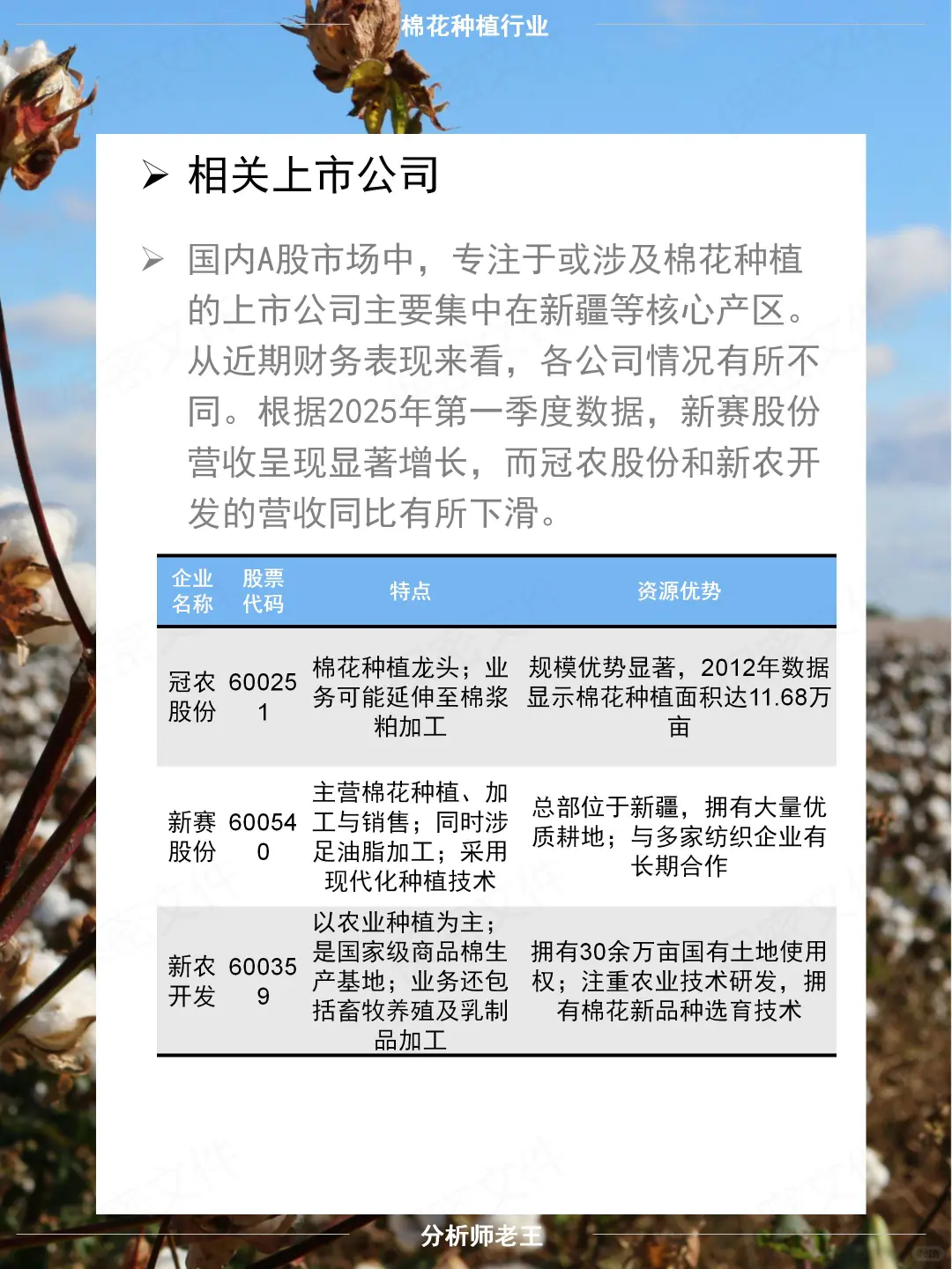 农业投资必看 - 棉花种植行研