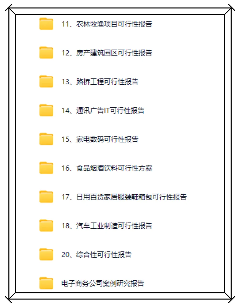 项目可行性研究报告