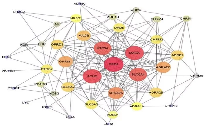 个人接医学Meta分析❗❗❗医学Meta分析选题