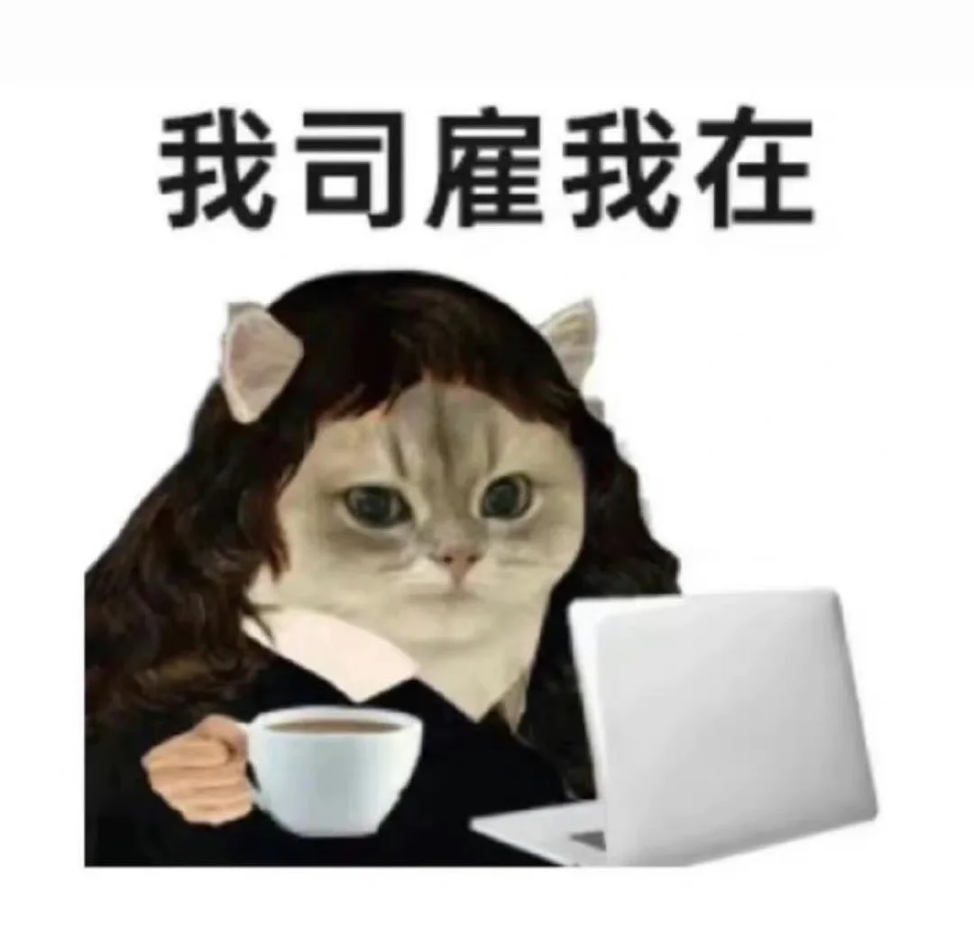 行研实习日记week5-8