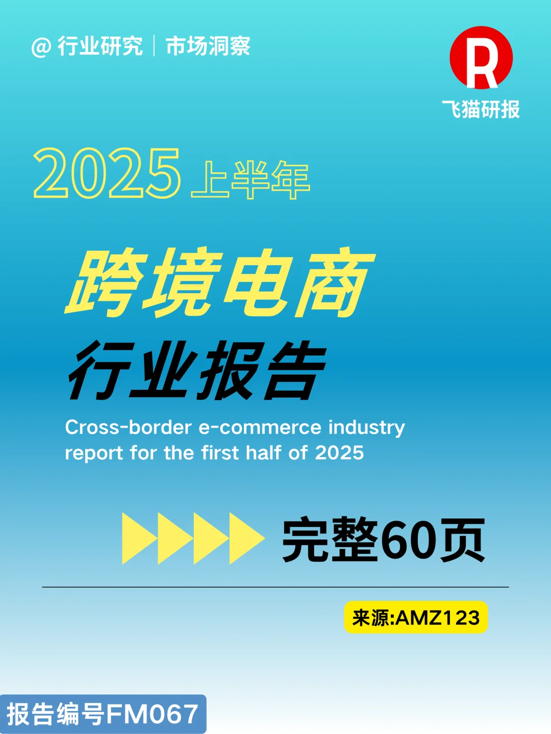 2025上半年跨境电商行业报告
