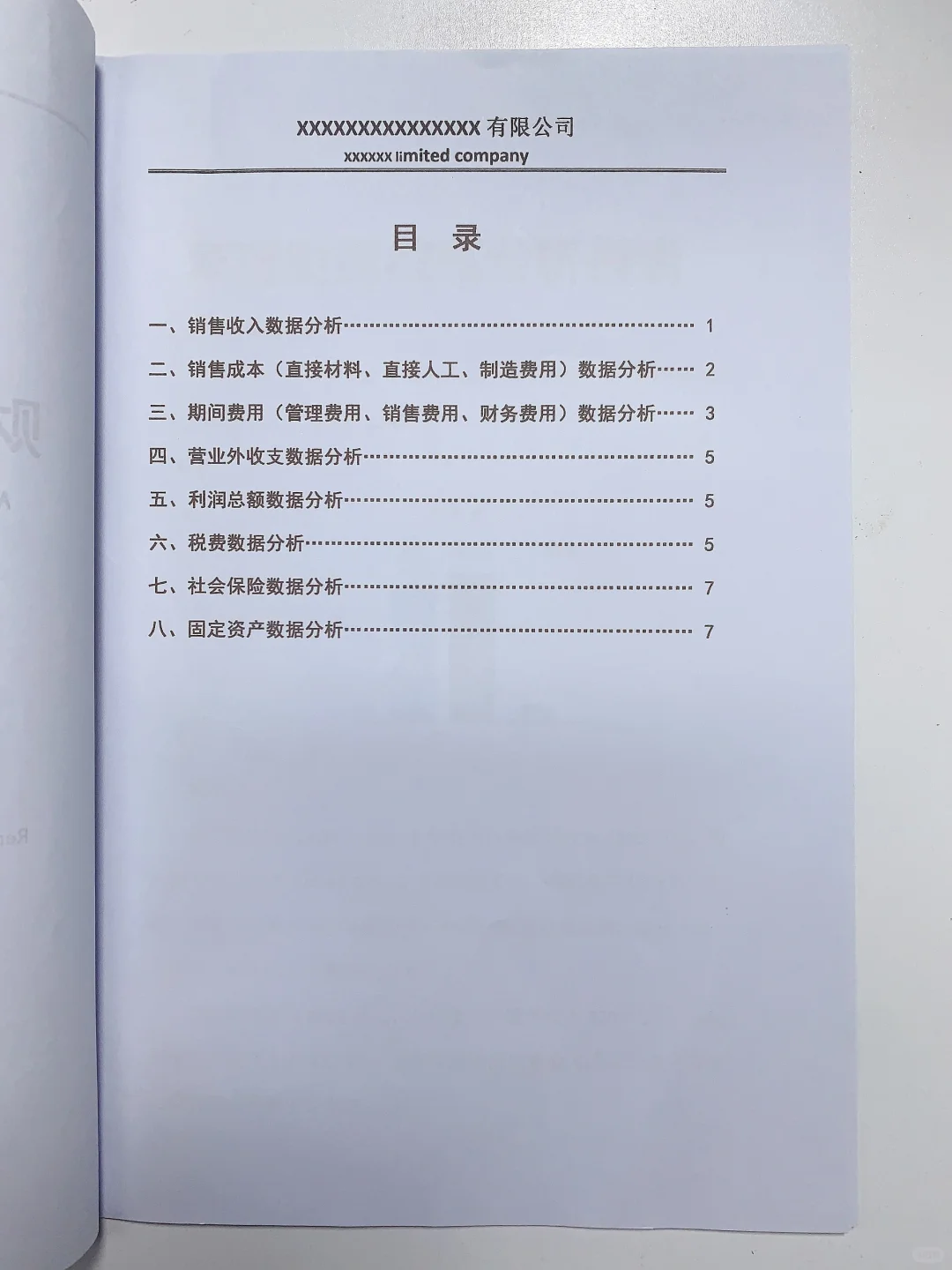 2023年度财务数据分析报告✅