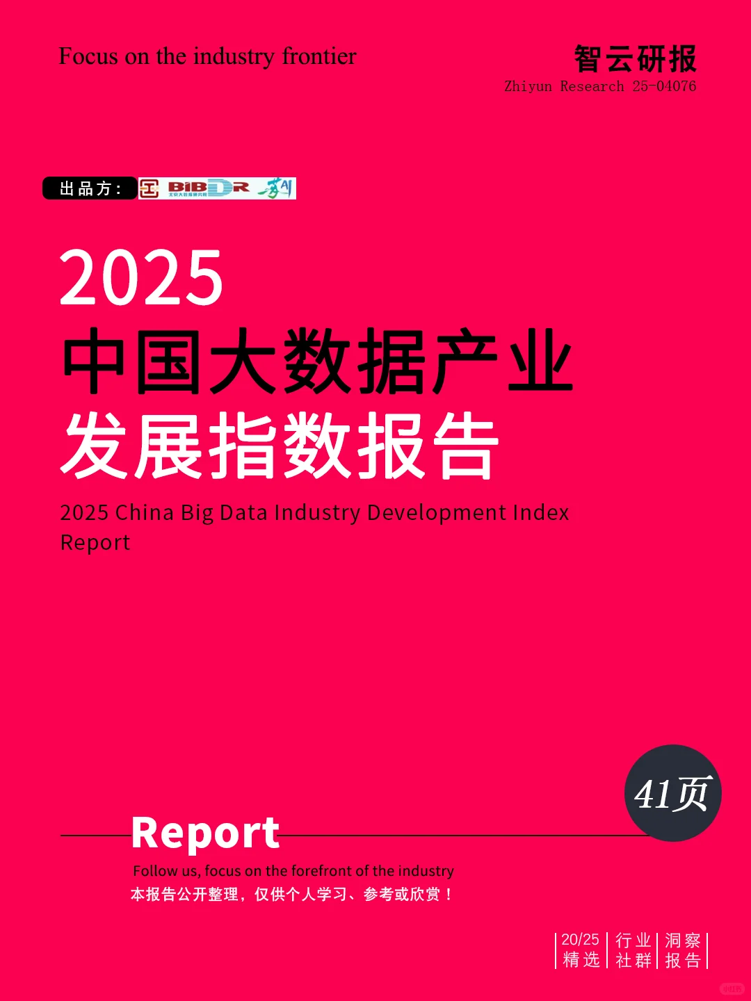 🧱✨解读2025中国大数据产业发展指数报告