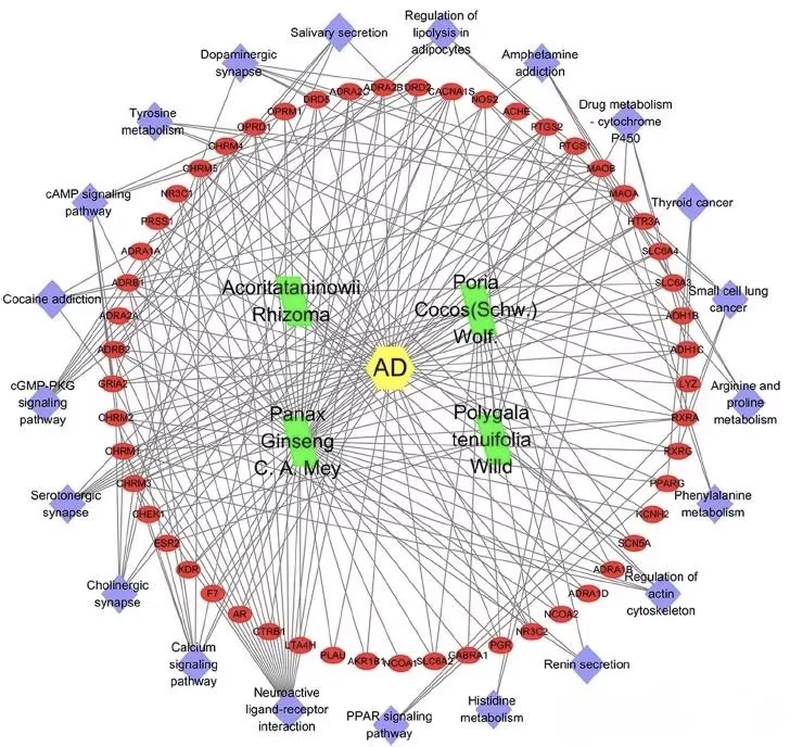 个人接医学Meta分析❗❗❗医学Meta分析选题