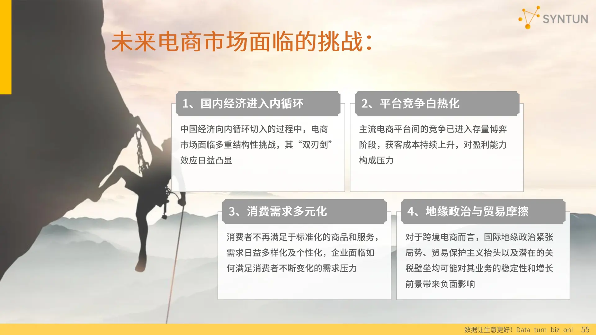 2025年电商发展报告