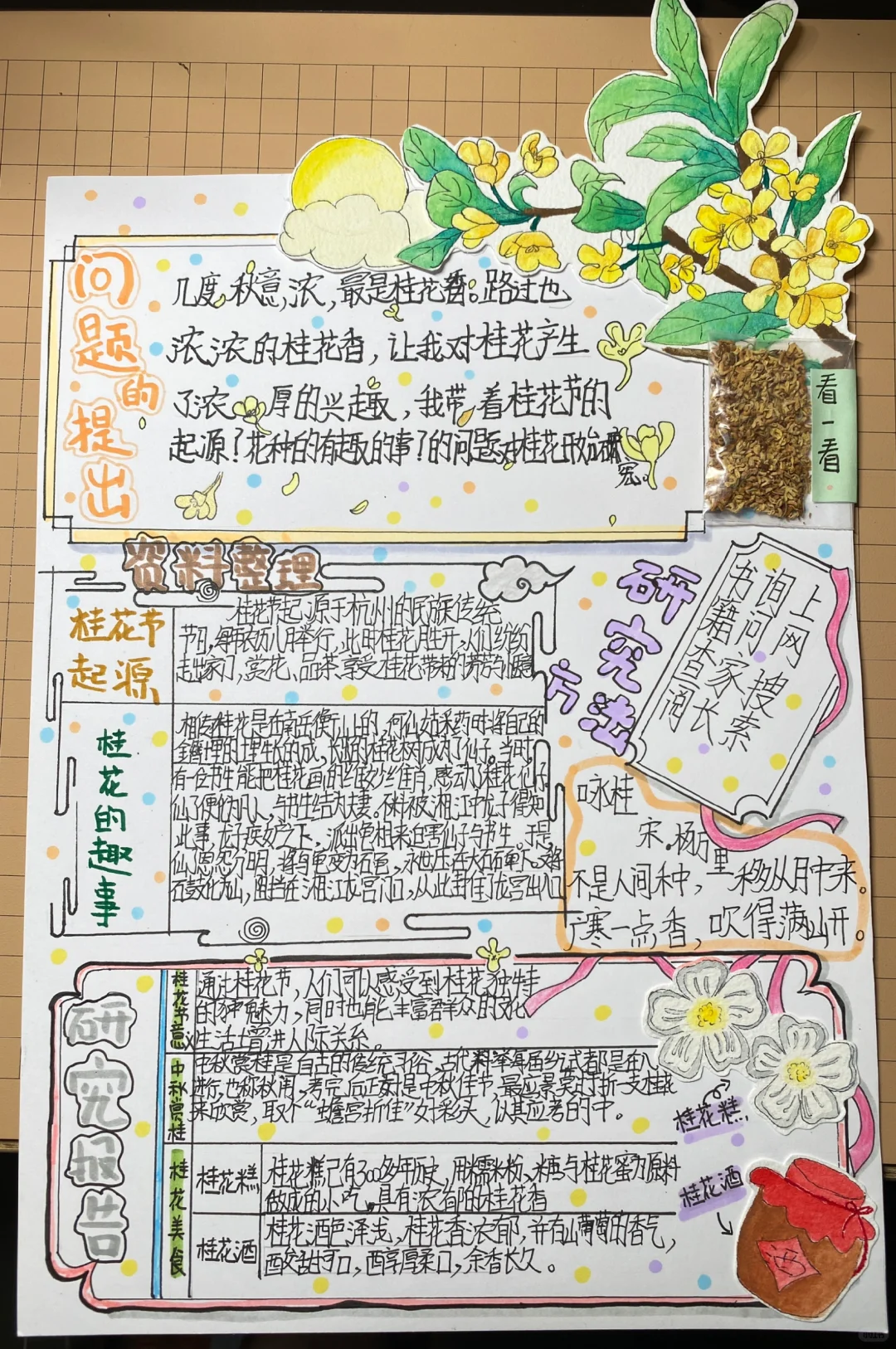 自制：关于桂花的研究报告（语文版）