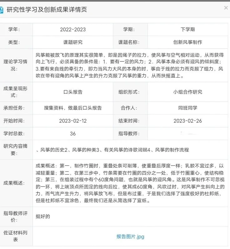 高中综合素质评价模板