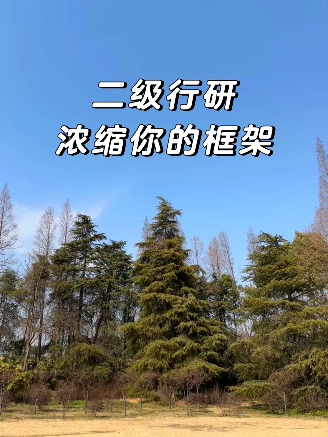 行研框架浓缩后只有两个字：供需