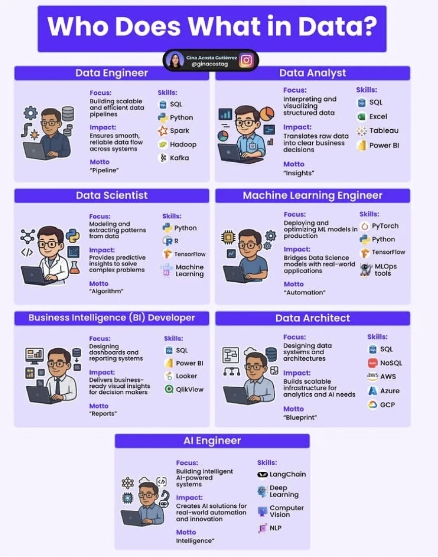 数据领域各角色分工