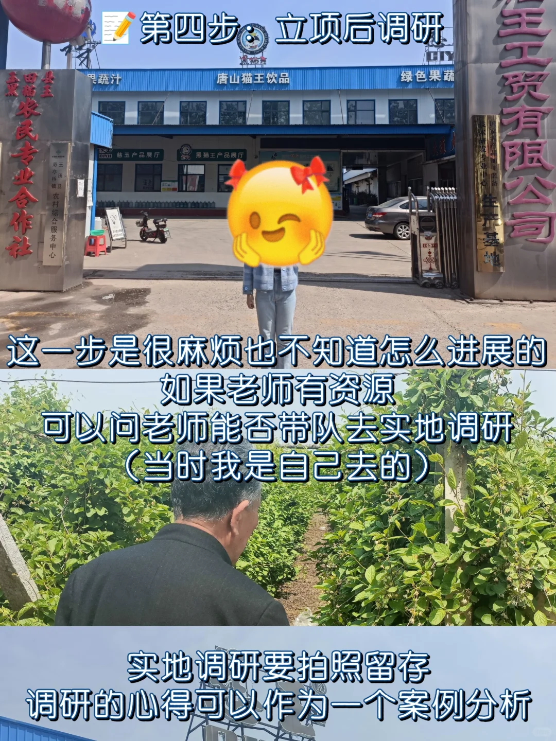 吐血整理！调研河北一条龙科普