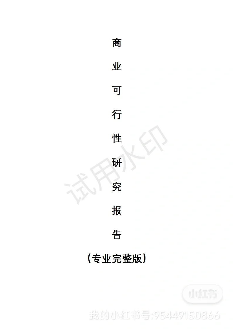 专注可行性研究报告✍️