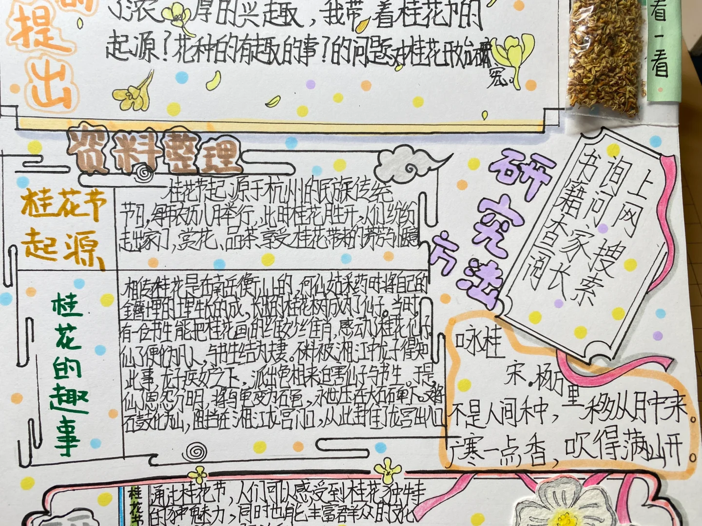 自制：关于桂花的研究报告（语文版）