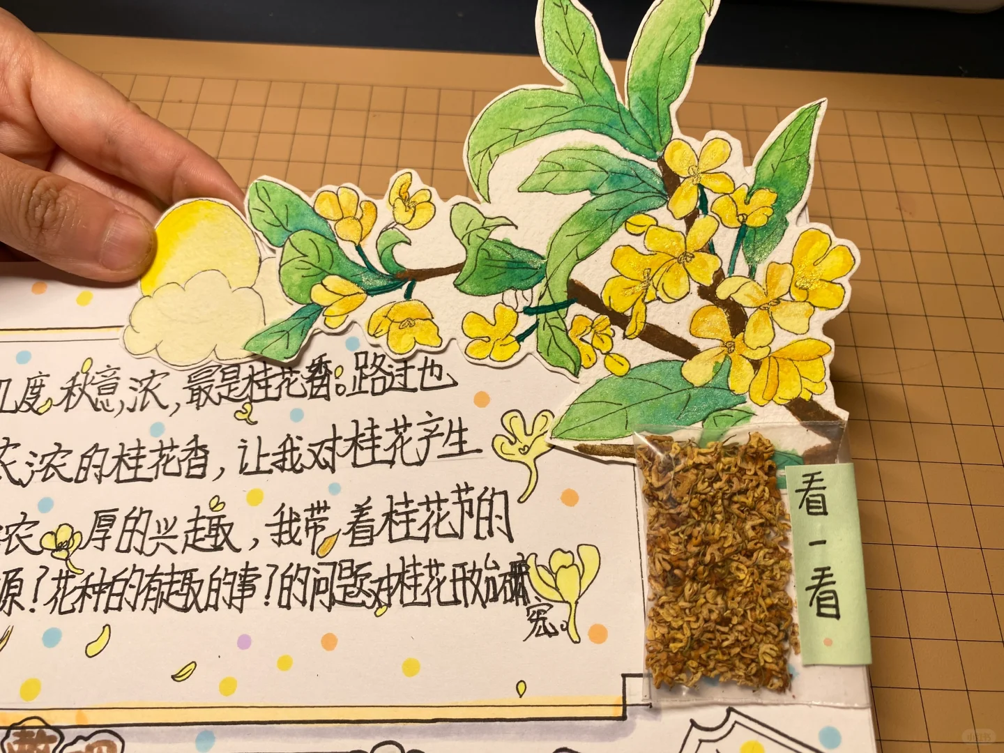 自制：关于桂花的研究报告（语文版）