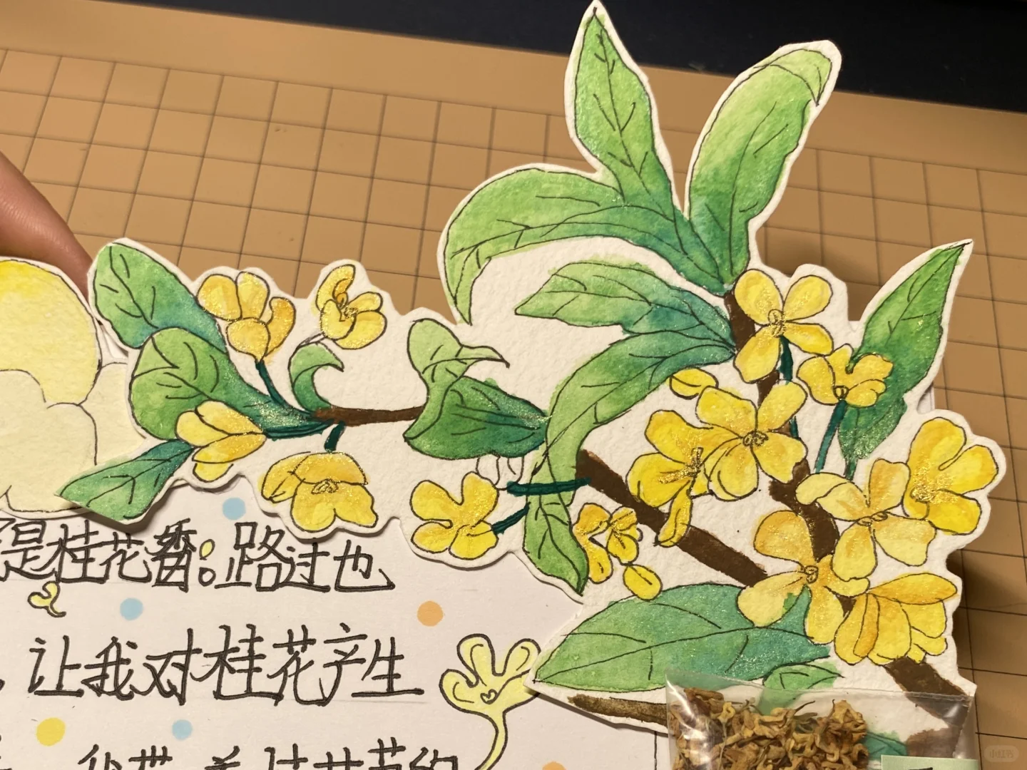 自制：关于桂花的研究报告（语文版）