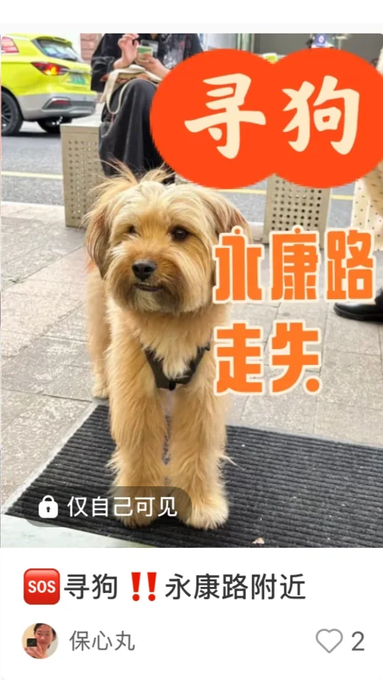 回归｜消失：20分钟｜Bun老板出去市场调研
