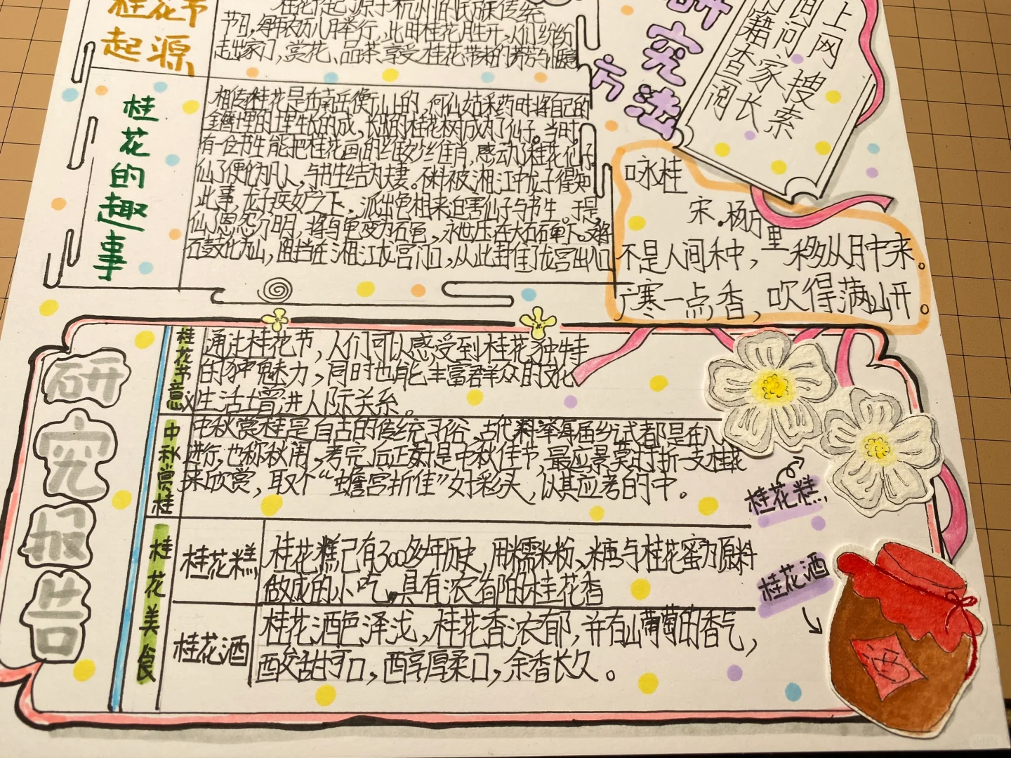 自制：关于桂花的研究报告（语文版）