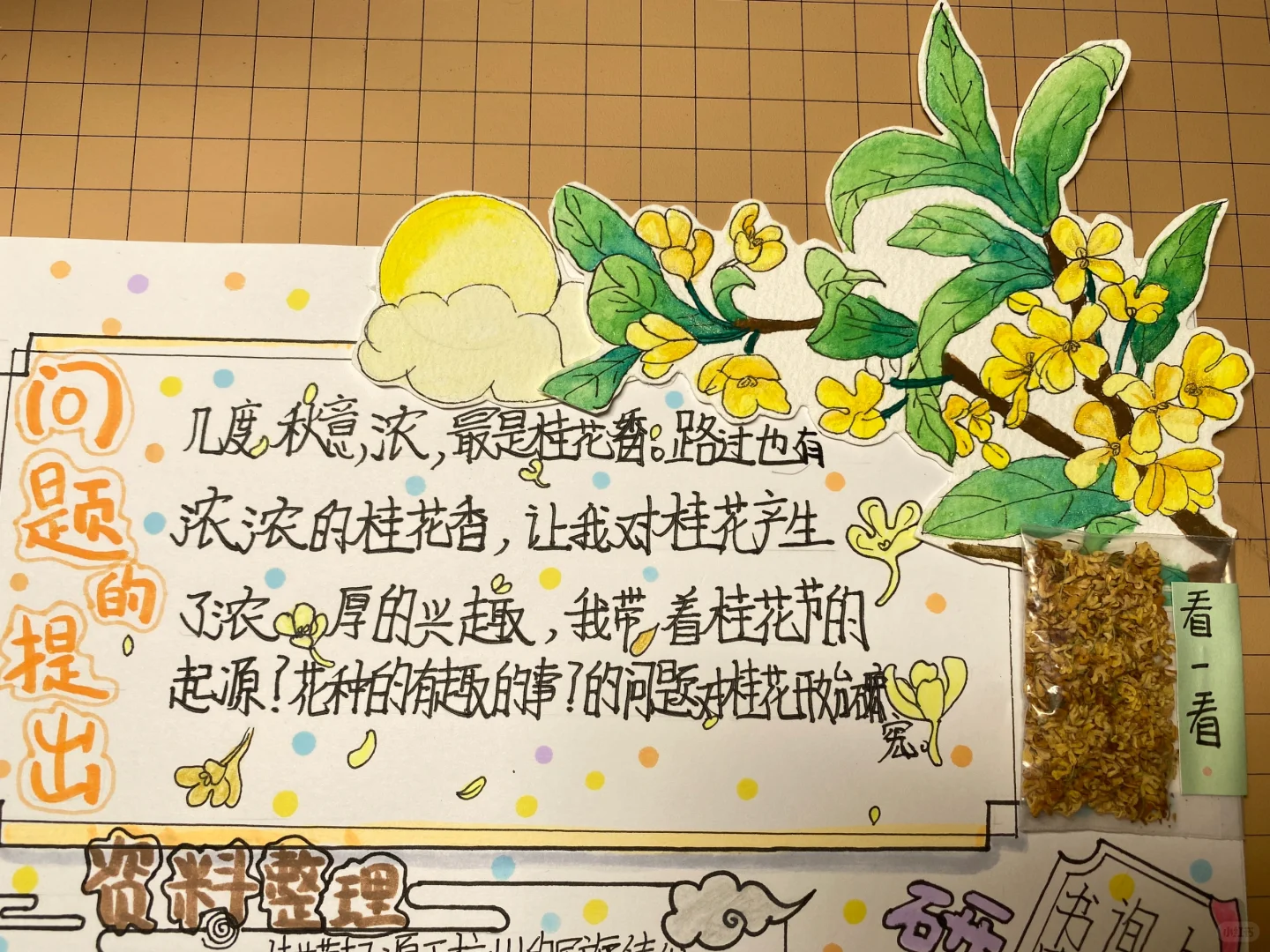 自制：关于桂花的研究报告（语文版）