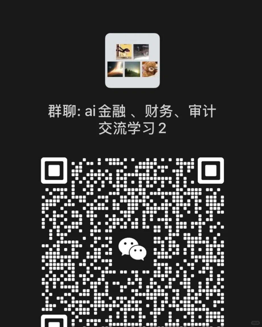 ai+金融/财务/审计来这里交流