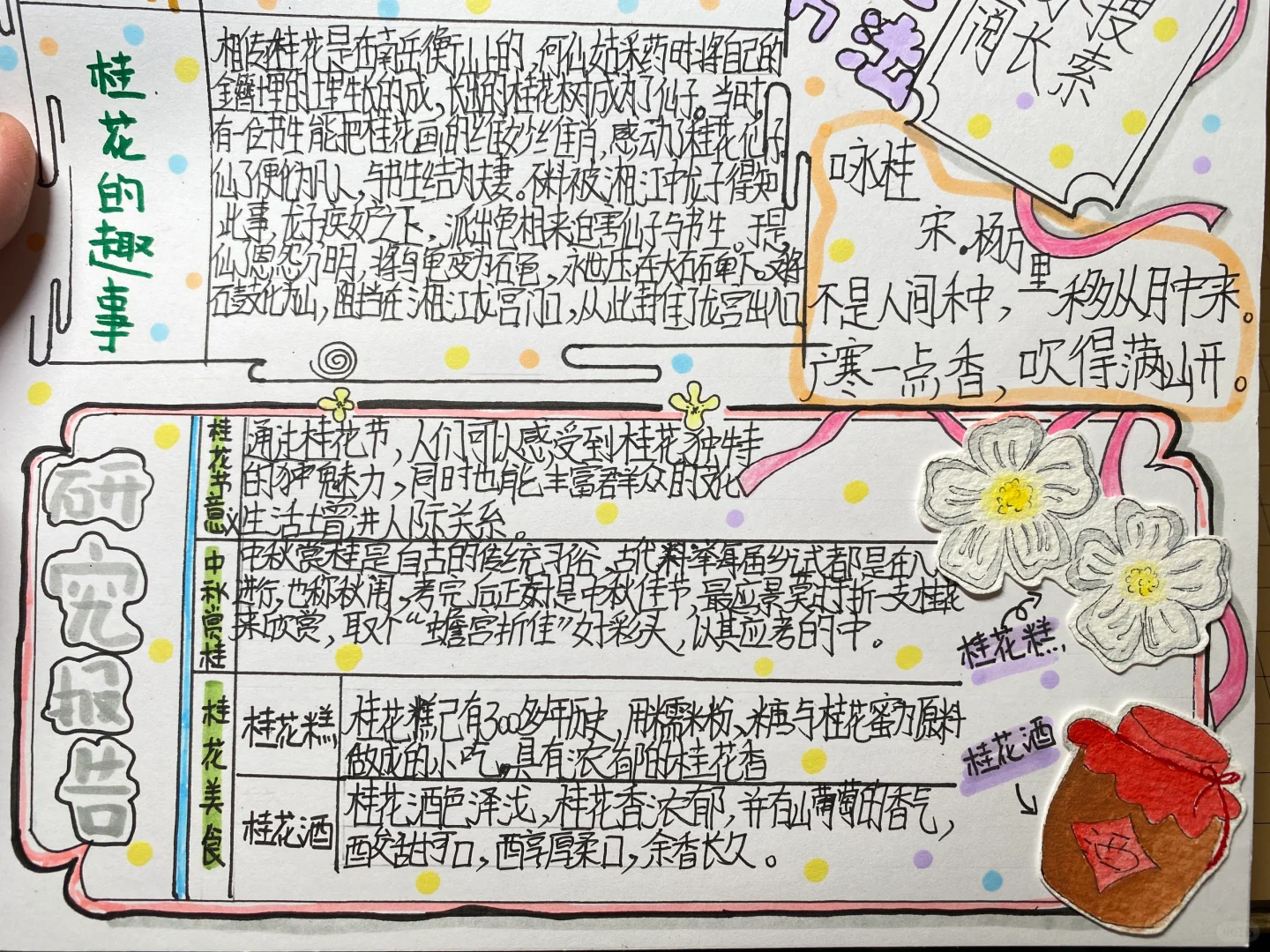 自制：关于桂花的研究报告（语文版）