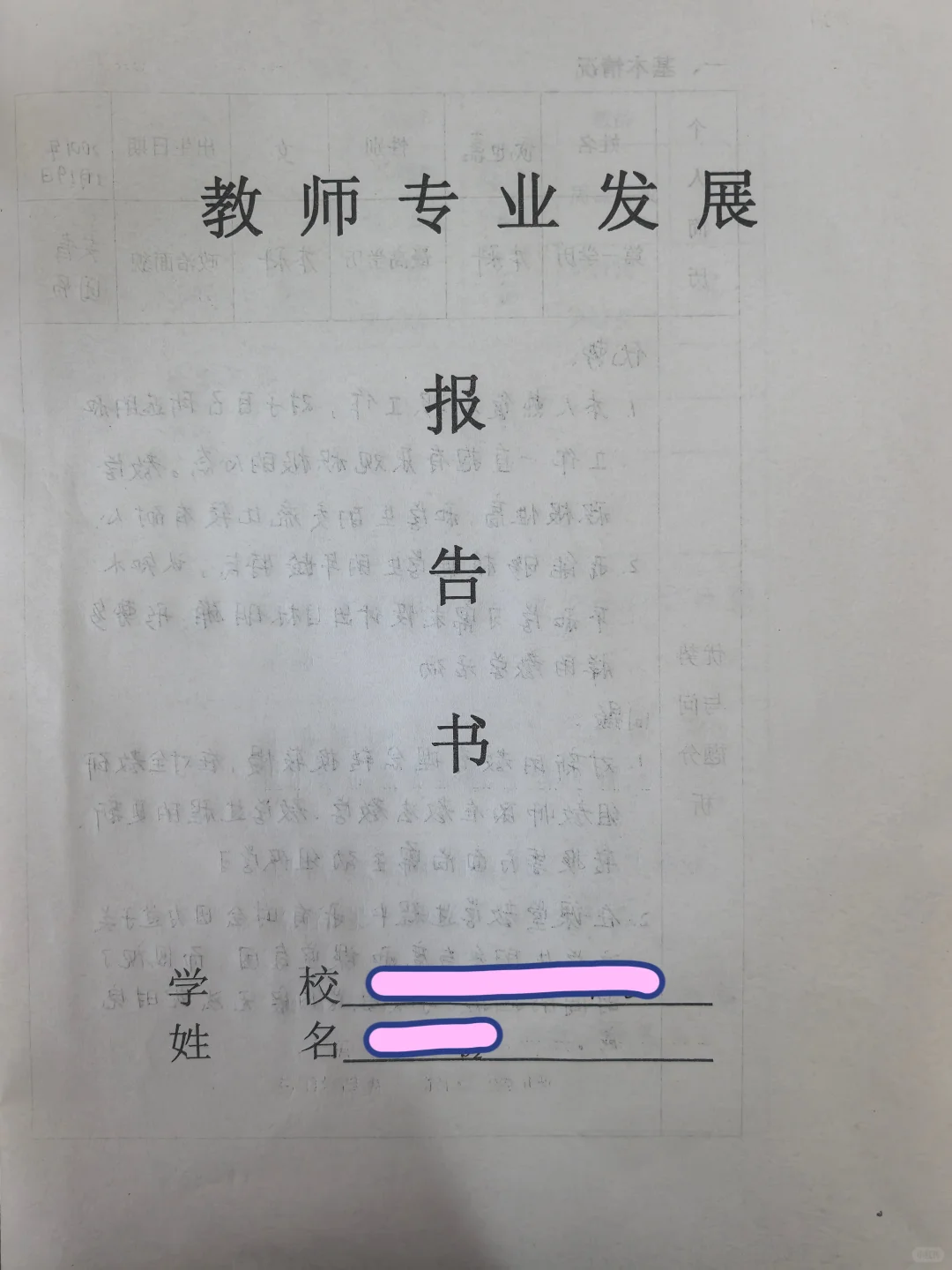 教师专业发展报告书