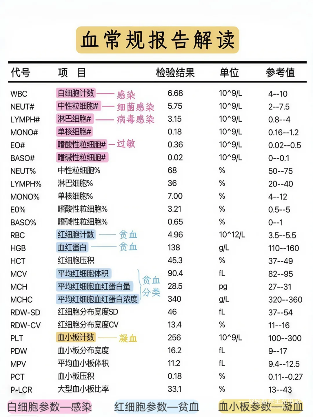 一篇快速看懂血常规报告！