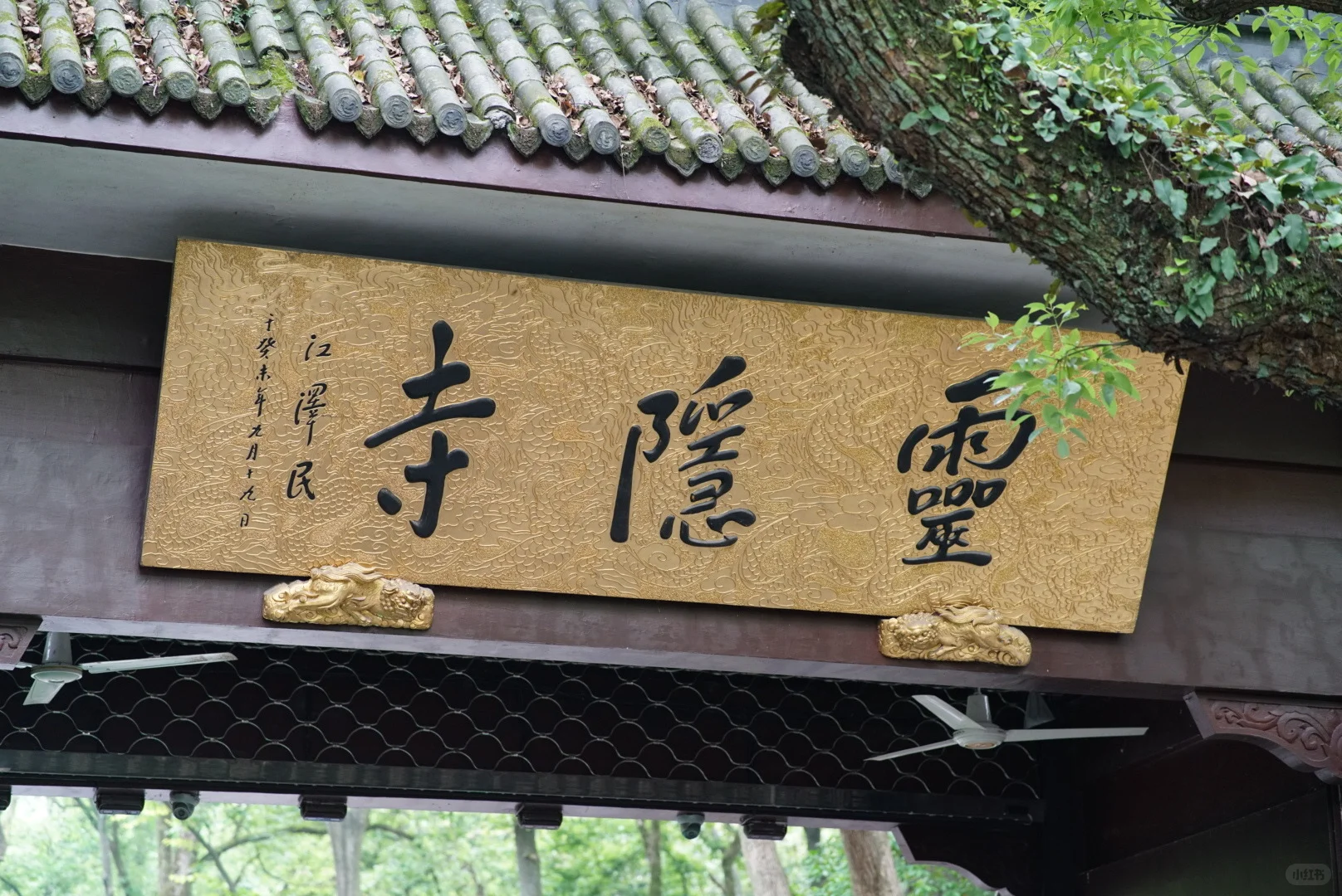 嘻嘻周末抽空去拿个国一😈
