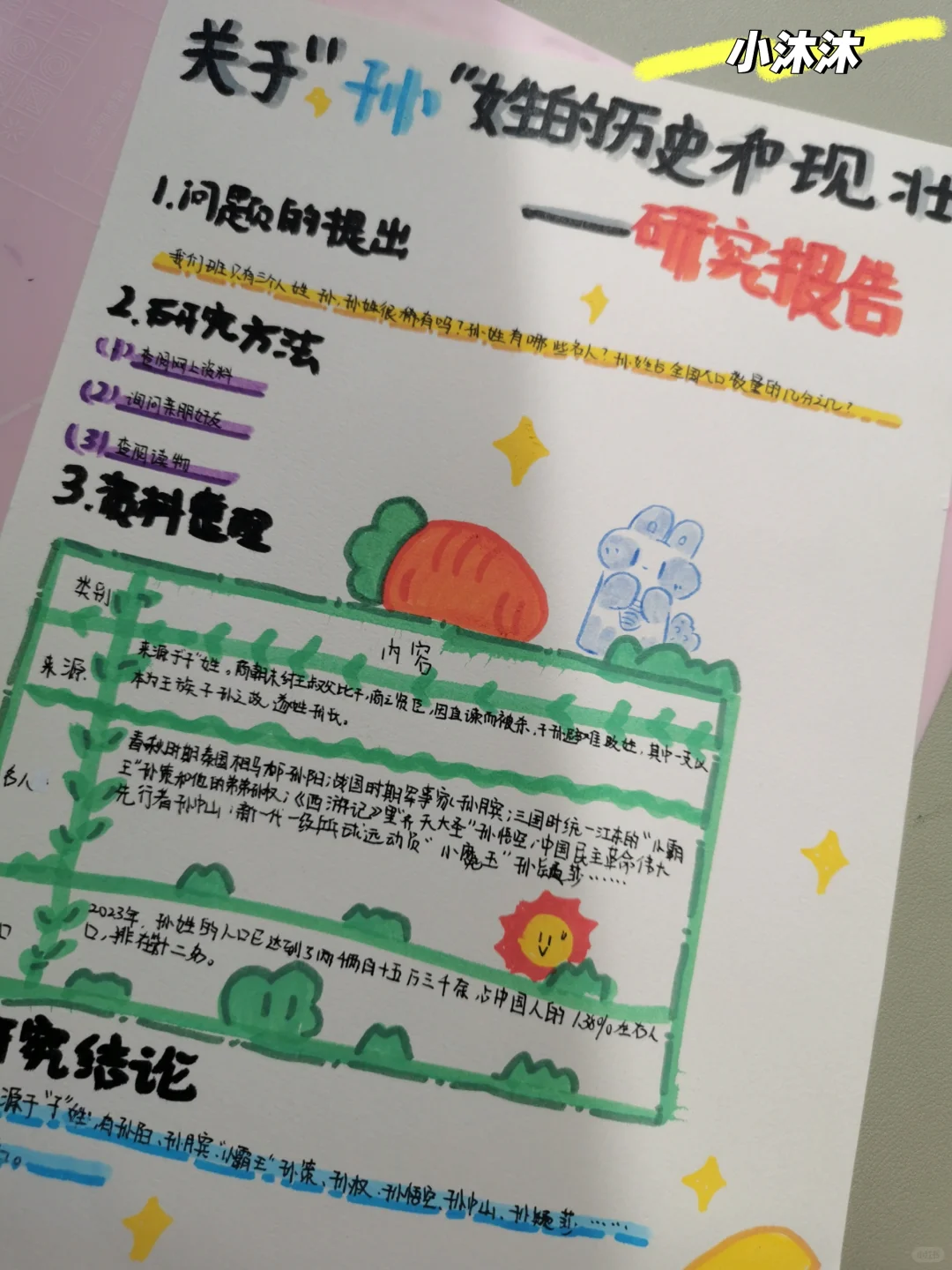 关于孙的研究报告