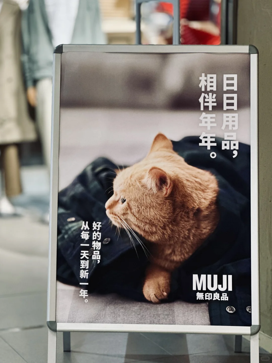 二级行研：人生突围