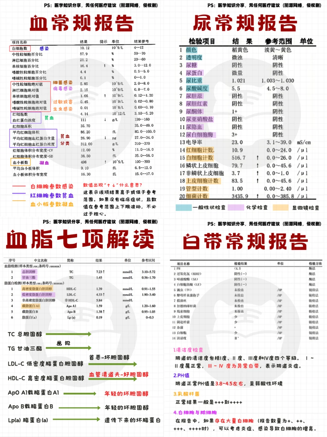 每日知识点⭐：常规报告解读合集🔥