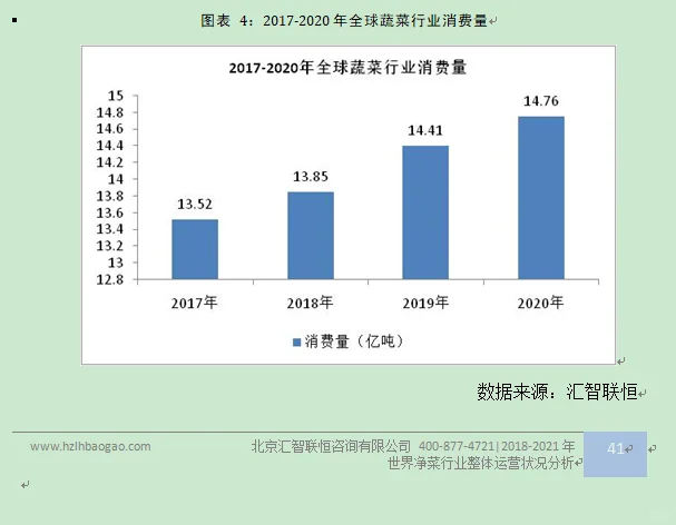 蔬菜行业市场研究与发展前景预测报告