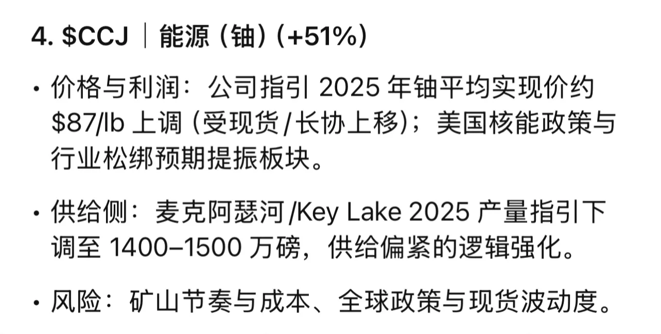 2025增长之王（行业逻辑 财报要点 风险雷区）