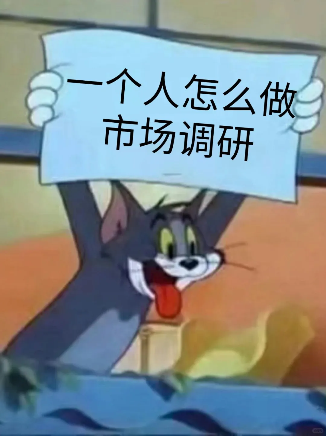 一个人怎么做市场调研