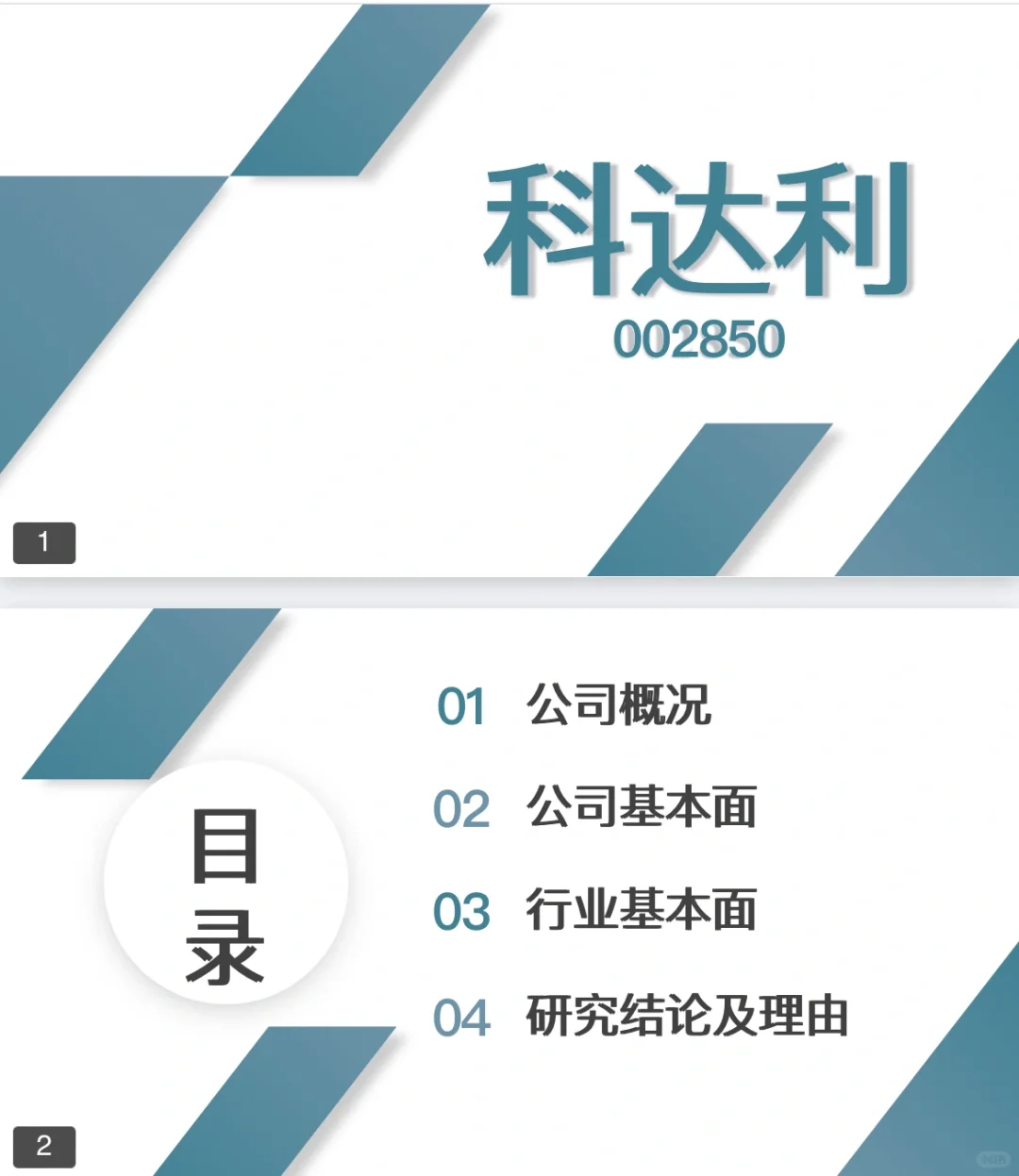 投资学课程作业:股票公司分析PPT