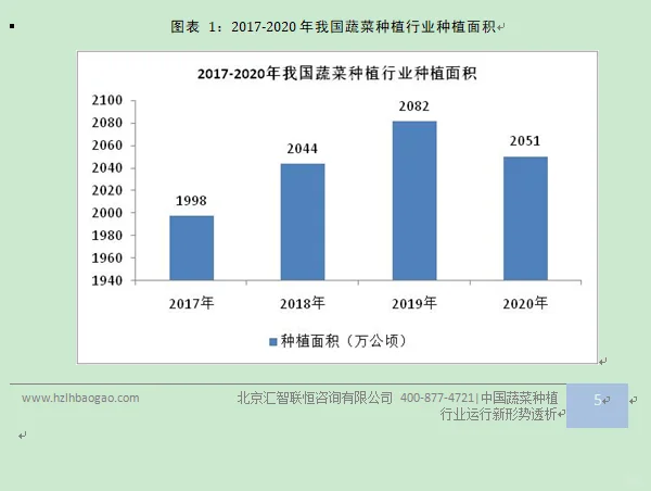 蔬菜行业市场研究与发展前景预测报告