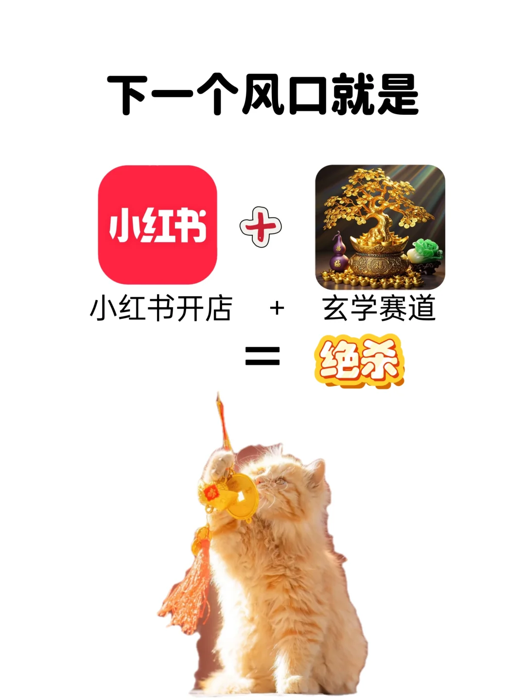 终于有人说清楚小红书玄学赛道风口了