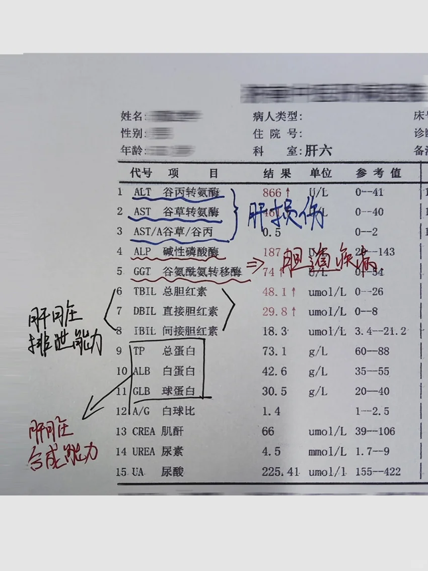 肝病医生教你看懂化验单