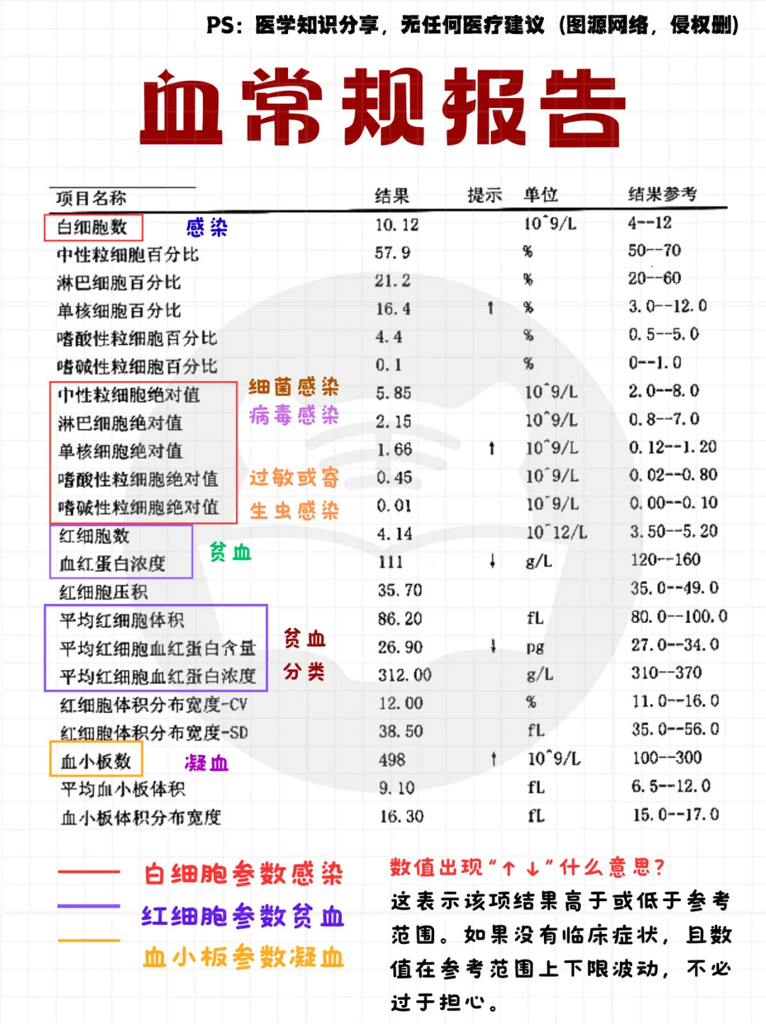 每日知识点⭐：常规报告解读合集🔥