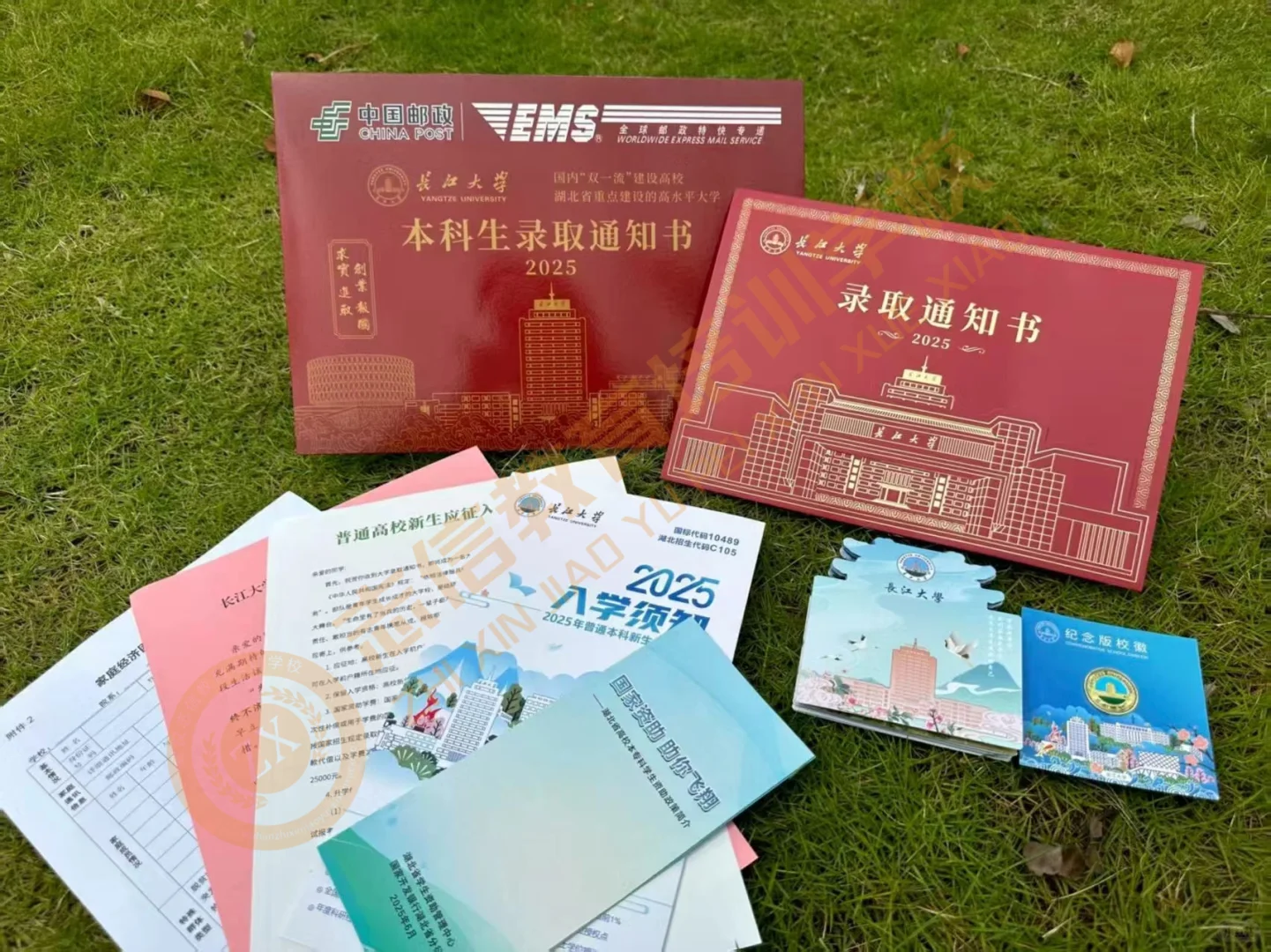 恭喜准本科生们🎊🎊