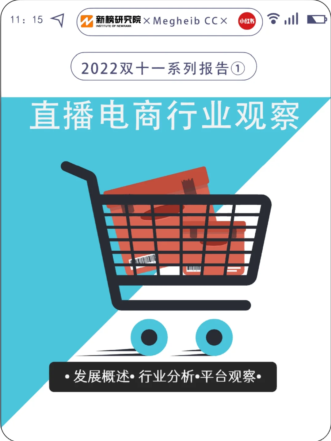 2022双十一研报来了～
