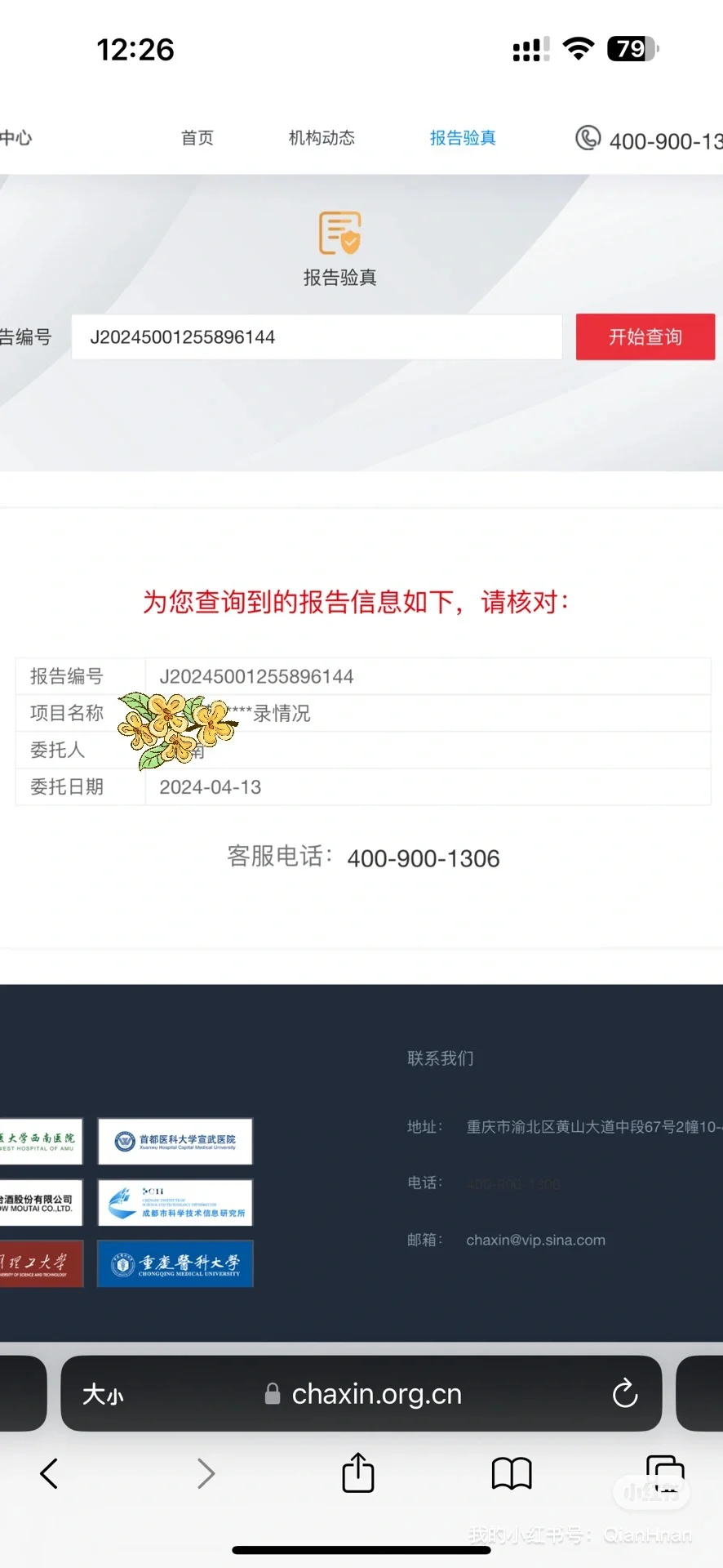 检索报告