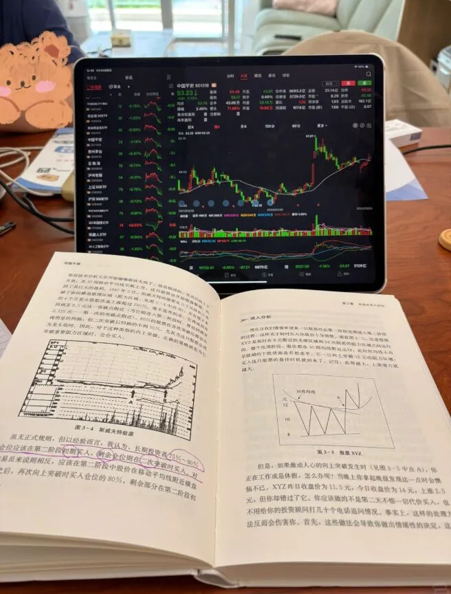 怪不得何猷君让我上B站学金融