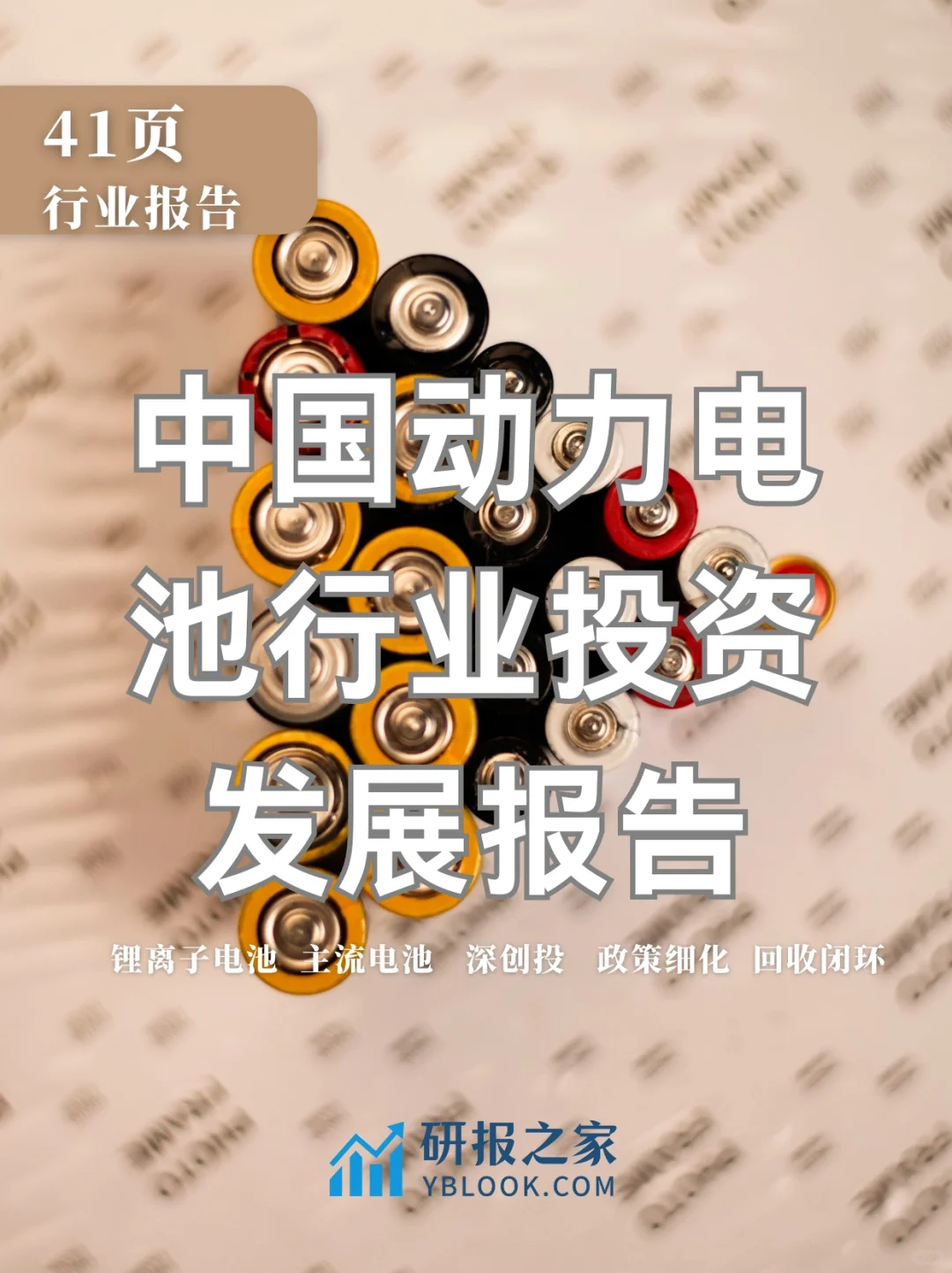 单篇研报分享|中国动力电池行业发展报告