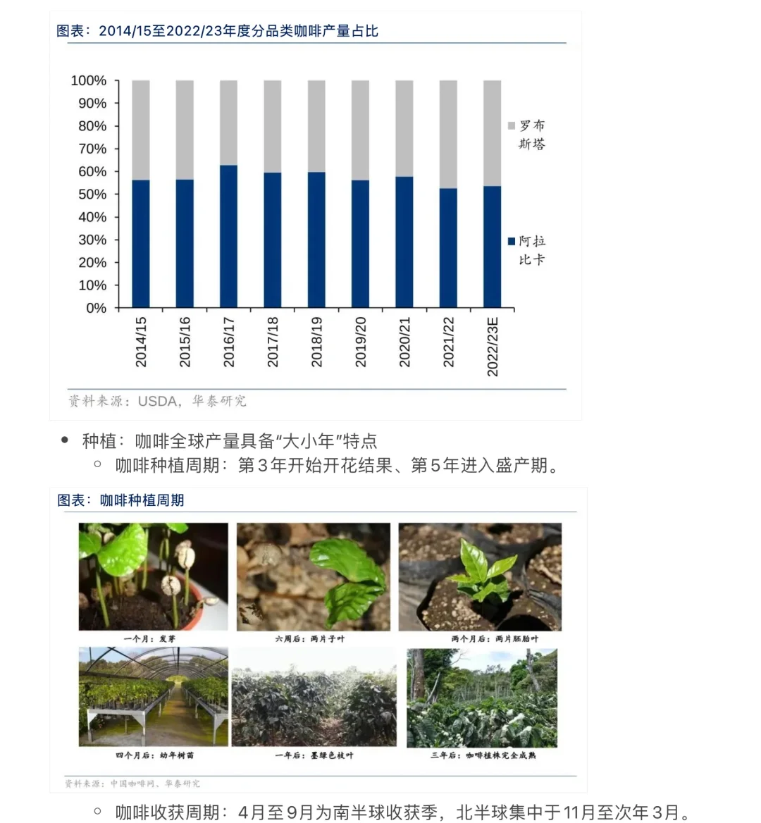 【Day 6】华泰证券-大消费行业研报知识整理