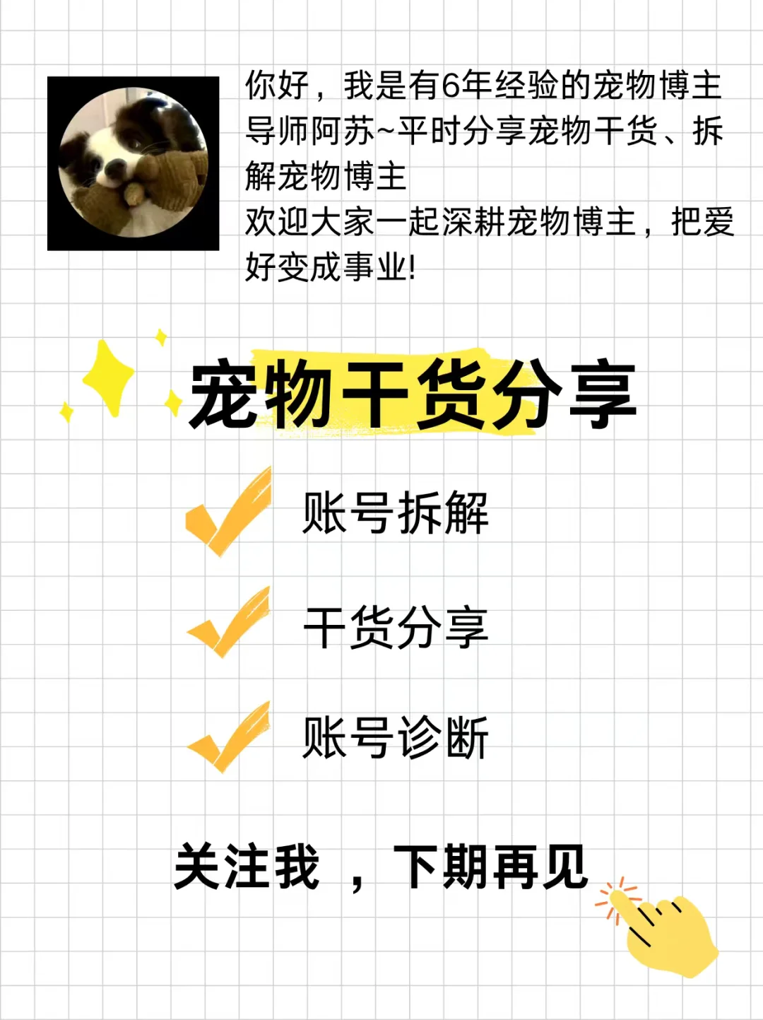 2025下半年 宠物+稀缺感就是自媒绝杀！