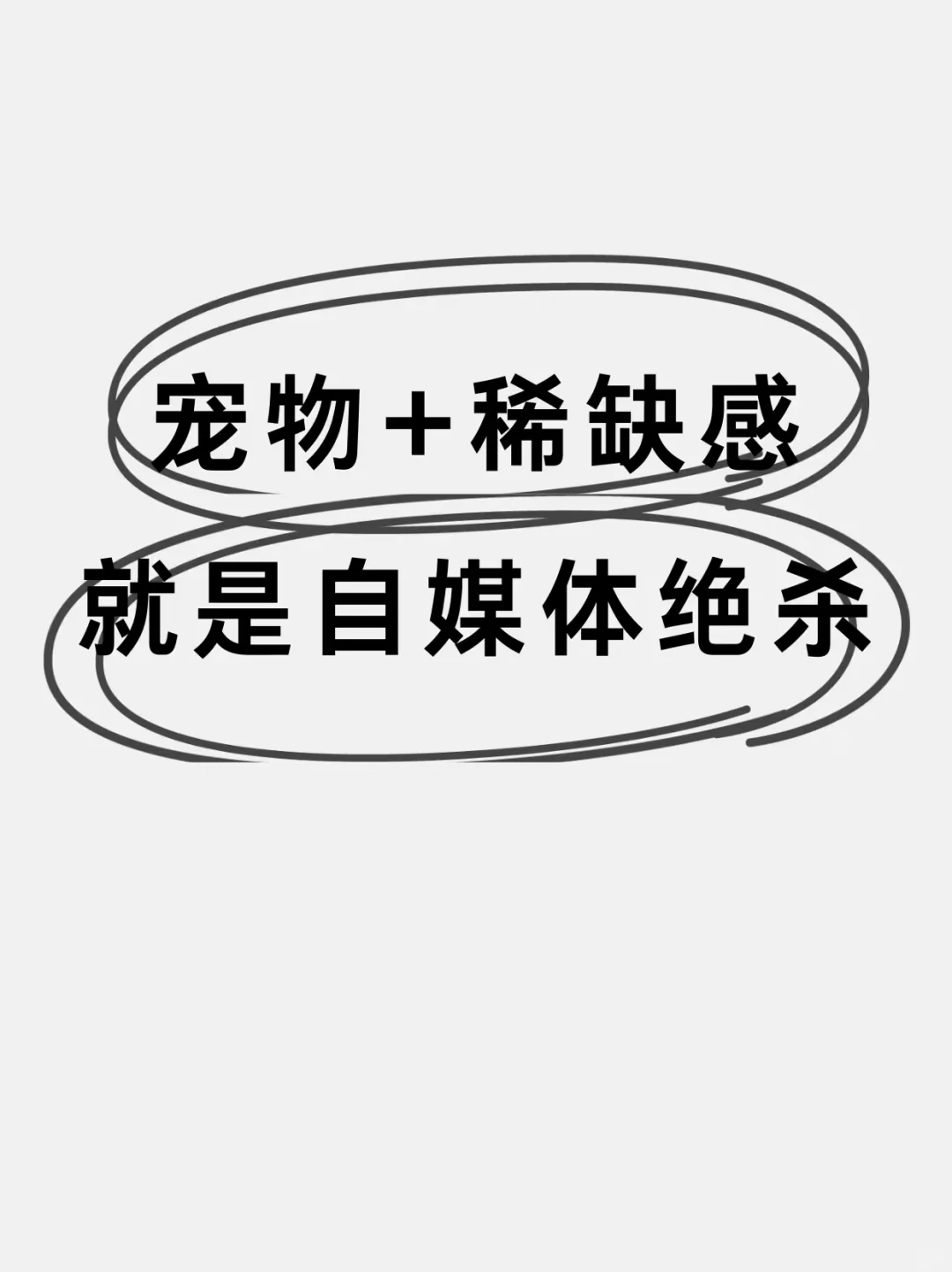 2025下半年 宠物+稀缺感就是自媒绝杀！