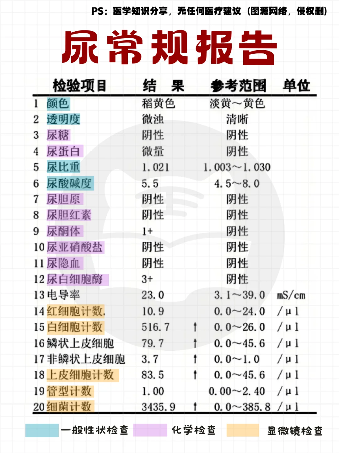 每日知识点⭐：常规报告解读合集🔥