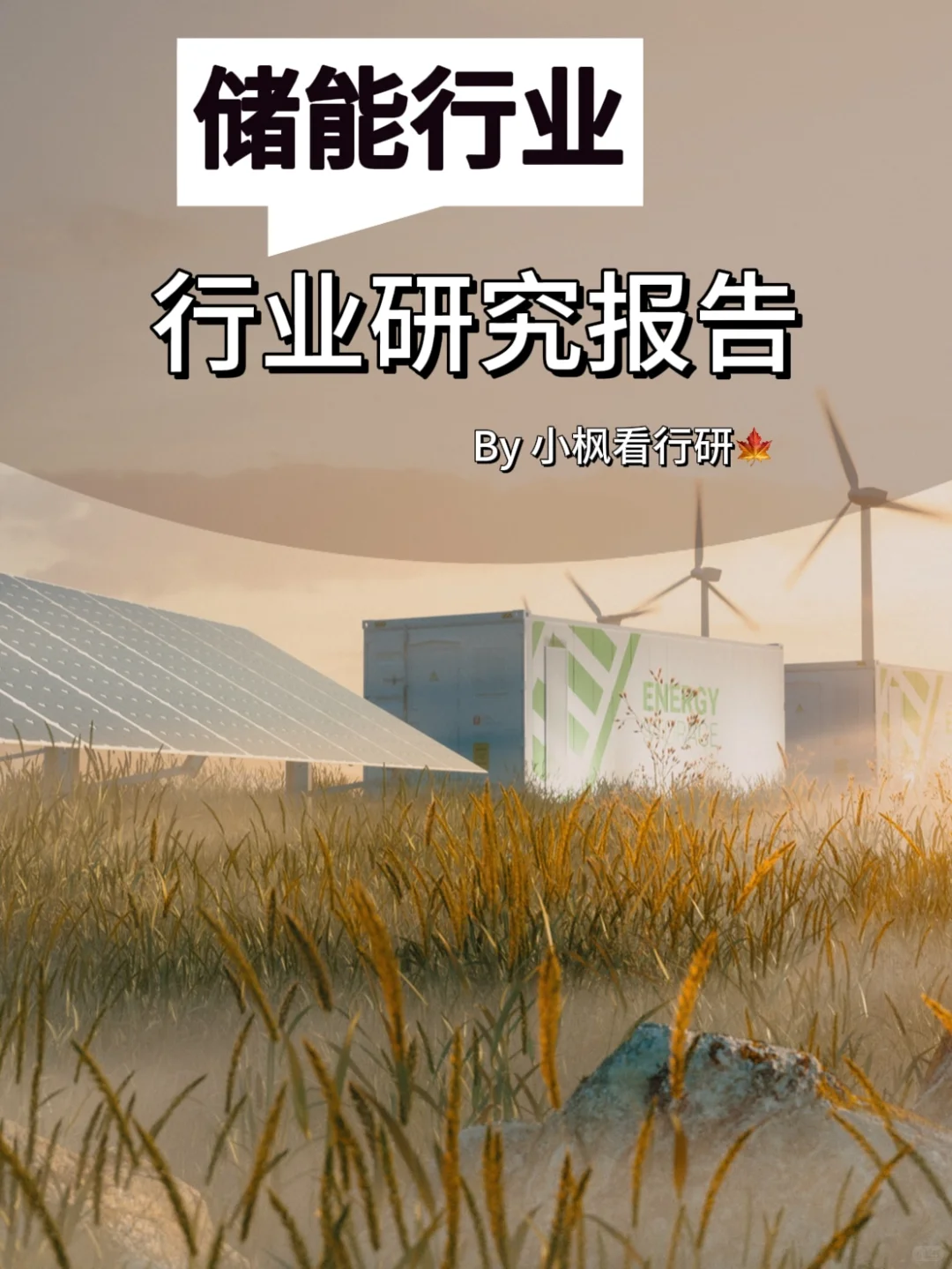储能行业研究报告