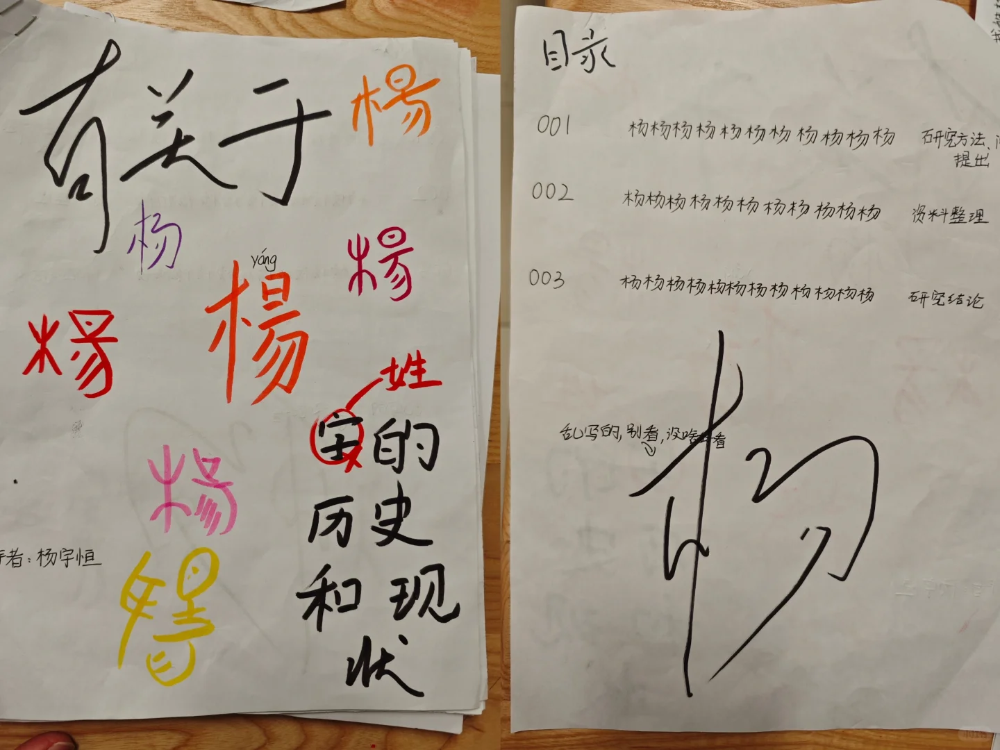 关于姓氏的研究报告